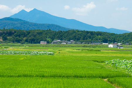 Sumiyaあげもちセット もち 餅 茨城県 石岡市 E23-003