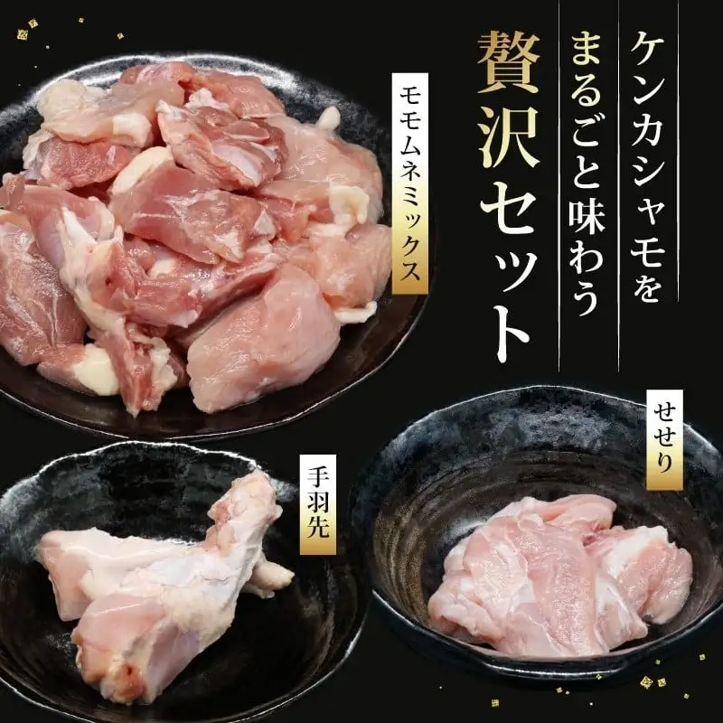 【3回定期便】ごめんケンカシャモ3種 (鍋・すき焼き・焼肉) 鍋セット すき焼きセット