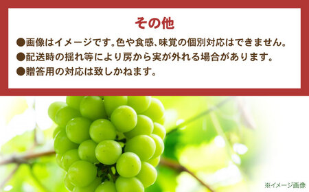 【2回定期便】※【2026年9月より順次発送／先行予約】シャインマスカット 約1.3kg(2房から3房) 家庭用 / フルーツ フルーツ定期便 果物 果物定期便 ぶどう マスカット しゃいんますかっと / 諫早市 / 肥前グローカル株式会社[AHDI011]
