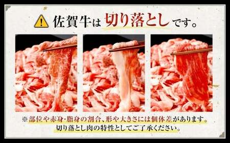 博多和牛 ステーキ （モモ） 5枚 （計約500g） ＋ 佐賀牛 切り落とし 400g ／ 黒毛和牛 黒毛和種 和牛 牛肉 お肉 肉 もも モモ肉 もも肉 霜降り セット 国産 九州 福岡県 太宰府市 冷凍