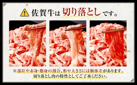 博多和牛 ステーキ （モモ） 15枚 （計約1.5kg） ＋ 佐賀牛 切り落とし 400g ／ 黒毛和牛 黒毛和種 和牛 牛肉 お肉 肉 もも モモ肉 もも肉 霜降り セット 国産 九州 福岡県 太宰府市 冷凍