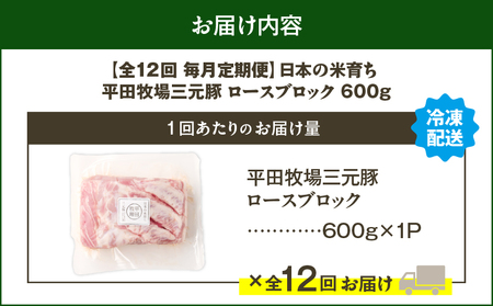 【 全12回 毎月 定期便 】 日本 の 米育ち 平田牧場 三元豚 ロース ブロック 600g T036-T06-03 肉 豚肉