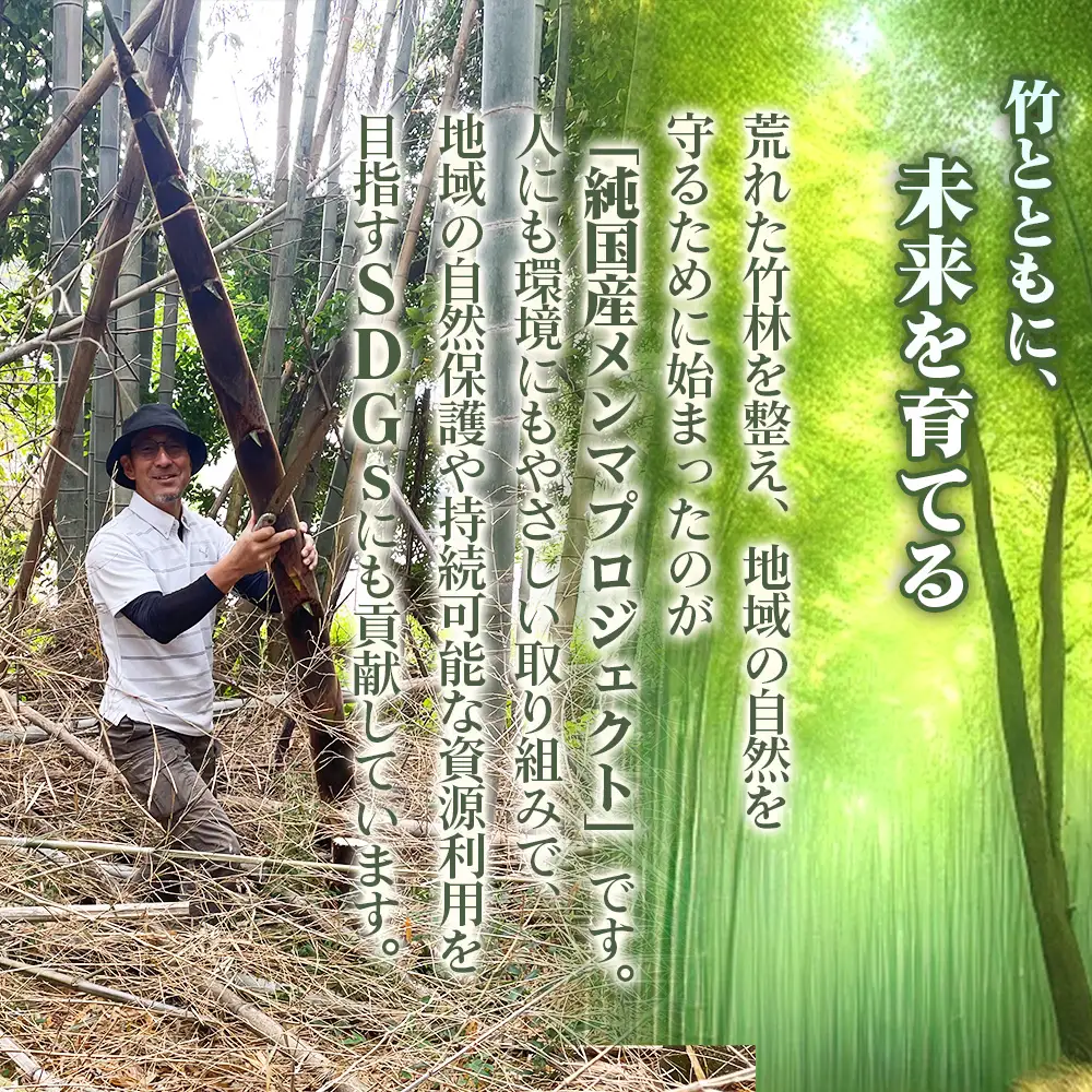 純国産島本メンマ（ごま油香るピリ辛中華味）500g ／ めんま たけのこ 筍 おつまみ 惣菜 国産 幼竹 ピリ辛 シャキシャキ ご飯のお供 お取り寄せ グルメ ご当地 名物 特産 大阪府 No.183