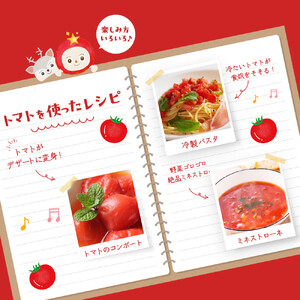【令和8年5月下旬～発送】ながなわ農園のフルティカトマト　1kg｜  ちょっと贅沢な甘美なトマト  数量限定 トマト フルーツ 甘い 送料無料 信州 長野  阿智村  長縄農園