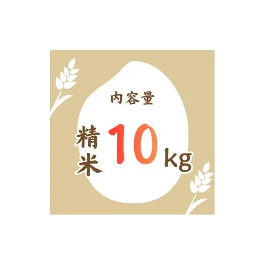 利根町産コシヒカリ　精米10kg ／ 米 こめ コメ お米 おこめ コシヒカリ こしひかり 令和7年産 白米 精米 ご飯 ごはん 10kg 送料無料