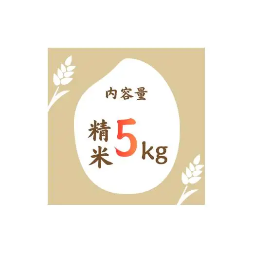 利根町産コシヒカリ　精米5kg ／ 米 こめ コメ お米 おこめ コシヒカリ こしひかり 令和7年産 白米 精米 ご飯 ごはん 10kg 送料無料