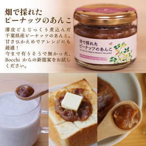 ピーナッツペースト 3本セット ピーナッツ バター 千葉県産 落花生 濃厚 ピーナッツペースト 千葉県産落花生 ぴーなっつ 無添加 ピーナッツクリーム ジャム ナッツ あんこ 餡 あん 砂糖不使用 粒入り ピーナッツあんこ 贈答 ギフト プレゼント 記念日 お祝い 送料無料 株式会社セガワ メディア 千葉県 旭市 sgw003