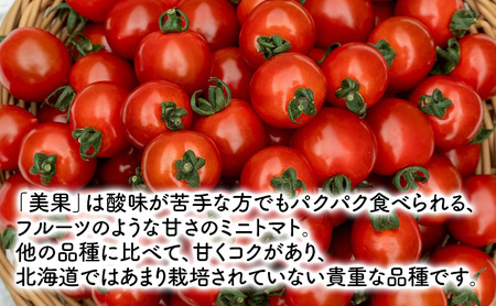 【2026年7月～発送】富良野産 採れたて直送! ミニトマト 「殊玉のうまみ」 【約2kg】 (清水farm) トマト ミニトマト とまと 美果 野菜 新鮮 甘い 季節限定 北海道 富良野 ふらの