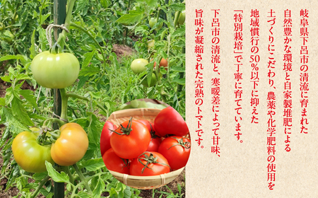 先行予約（訳あり）（2026年7月上旬頃から順次発送） 甘塾トマト 麗月 2Ｌ～3Ｌ 大サイズ 4kg以上 【119-5】