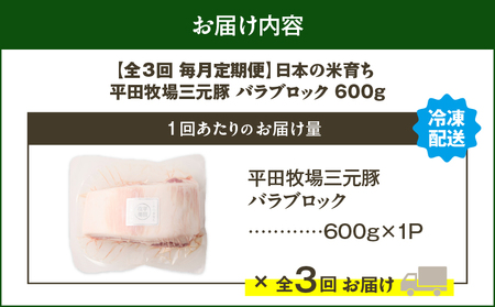 【 全3回 毎月 定期便 】 日本 の 米育ち 平田牧場 三元豚 バラ ブロック 600g T036-T08-01 肉 豚肉