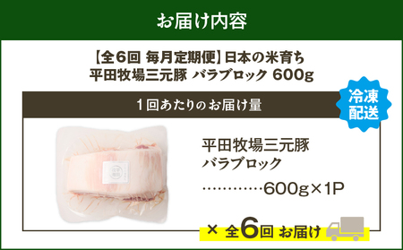【 全6回 毎月 定期便 】 日本 の 米育ち 平田牧場 三元豚 バラ ブロック 600g T036-T08-02 肉 豚肉