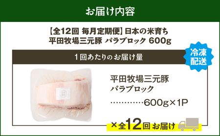 【 全12回 毎月 定期便 】 日本 の 米育ち 平田牧場 三元豚 バラ ブロック 600g T036-T08-03 肉 豚肉