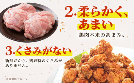 【全12回定期便】 ありたどり モモ肉 ブロック 計1kg 【肉の三栄】 ありた鶏 もも もも肉 モモ[HAA166]