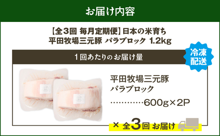 【 全3回 毎月 定期便 】 日本 の 米育ち 平田牧場 三元豚 バラ ブロック 1.2kg T036-T09-01 肉 豚肉