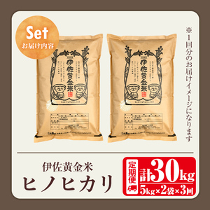 isa791 《数量限定・3回定期便》令和7年産 小北農場のお米 伊佐黄金米〈ヒノヒカリ〉(計30kg・5kg×2袋×3回) 鹿児島 伊佐 お米 30kg 定期便 3回 特別栽培米 伊佐米 白米 ヒノヒカリ ひのひかり おにぎり ごはん  【小北農場】