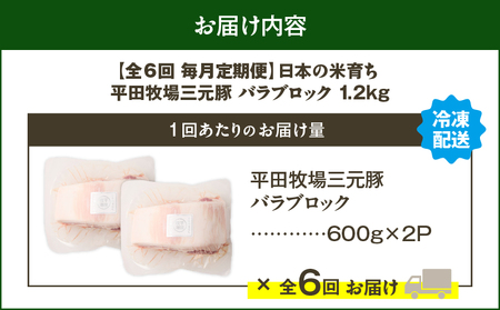 【 全6回 毎月 定期便 】 日本 の 米育ち 平田牧場 三元豚 バラ ブロック 1.2kg T036-T09-02 肉 豚肉