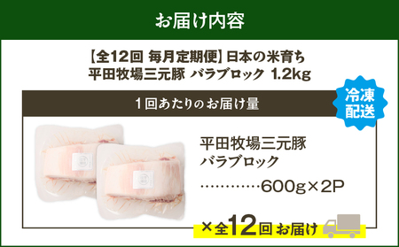【 全12回 毎月 定期便 】 日本 の 米育ち 平田牧場 三元豚 バラ ブロック 1.2kg T036-T09-03 肉 豚肉