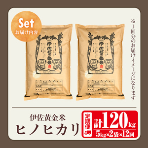 isa793 《数量限定・12回定期便》令和7年産 小北農場のお米 伊佐黄金米〈ヒノヒカリ〉(計120kg・5kg×2袋×12回) 鹿児島 伊佐 お米 120kg 定期便 12回 特別栽培米 伊佐米 白米 ヒノヒカリ ひのひかり おにぎり ごはん  【小北農場】