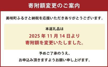 オーロラブラック 2房 （1房480g以上） 化粧箱入り 【2026年8月下旬～9月下旬迄発送予定】 ／ 葡萄 ぶどう 果物 果実 フルーツ 岡山県 美咲町 冷蔵