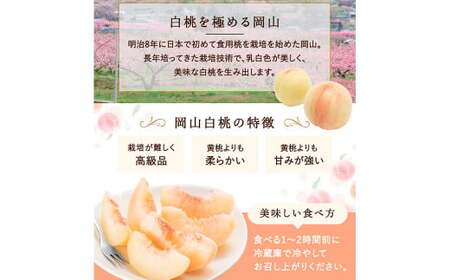 白桃 5玉 （1.5kg以上） 等級 ： ロイヤル 木箱入り 【2026年7月上旬～8月上旬迄発送予定】 ／ 桃 もも モモ はくとう 果物 くだもの フルーツ 果実 デザート 冷蔵
