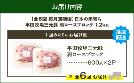 【 全6回 毎月 定期便 】日本 の 米育ち 平田牧場 三元豚 肩ロースブロック 1.2kg　T036-T11-02 肉 豚肉