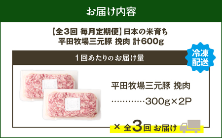 【 全3回 毎月 定期便 】 日本 の 米育ち 平田牧場 三元豚 ひき肉 600g T036-T12-01 肉 豚肉