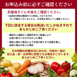 道の駅京丹波味夢の里 『旬のお野菜』 お試しセット 野菜詰め合わせ 3~5種類