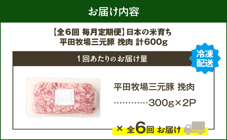 【 全6回 毎月 定期便 】 日本 の 米育ち 平田牧場 三元豚 ひき肉 600g T036-T12-02 肉 豚肉