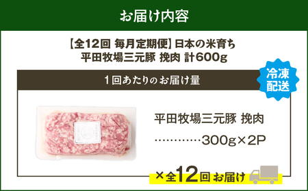 【 全12回 毎月 定期便 】 日本 の 米育ち 平田牧場 三元豚 ひき肉 600g T036-T12-03 肉 豚肉