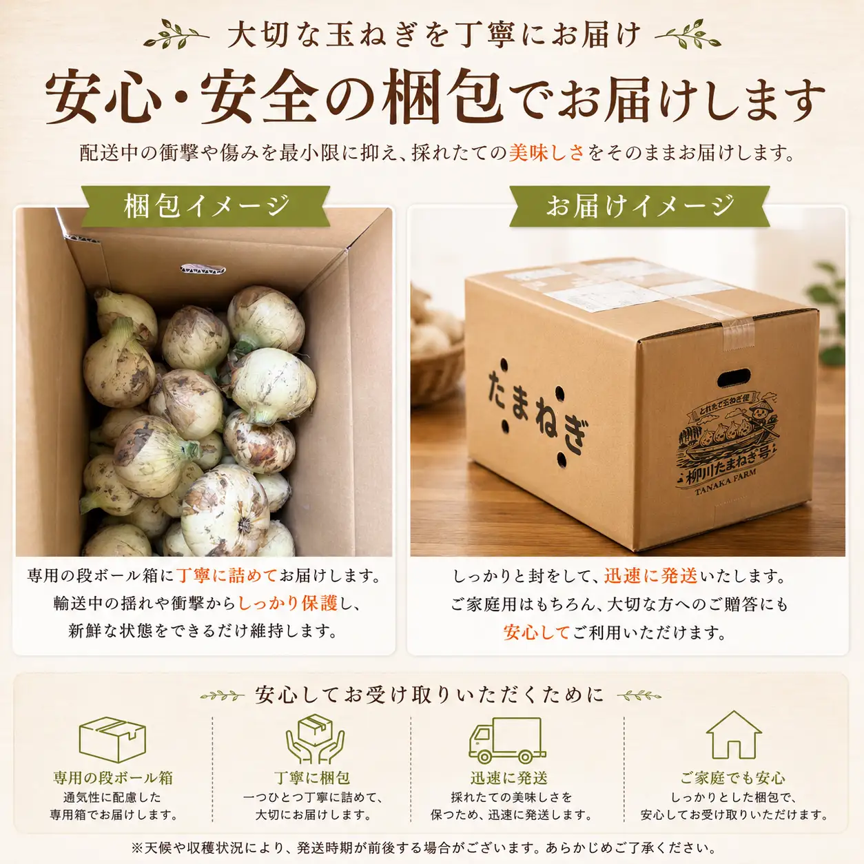 【先行予約】玉ねぎ 10kg | 玉ねぎ