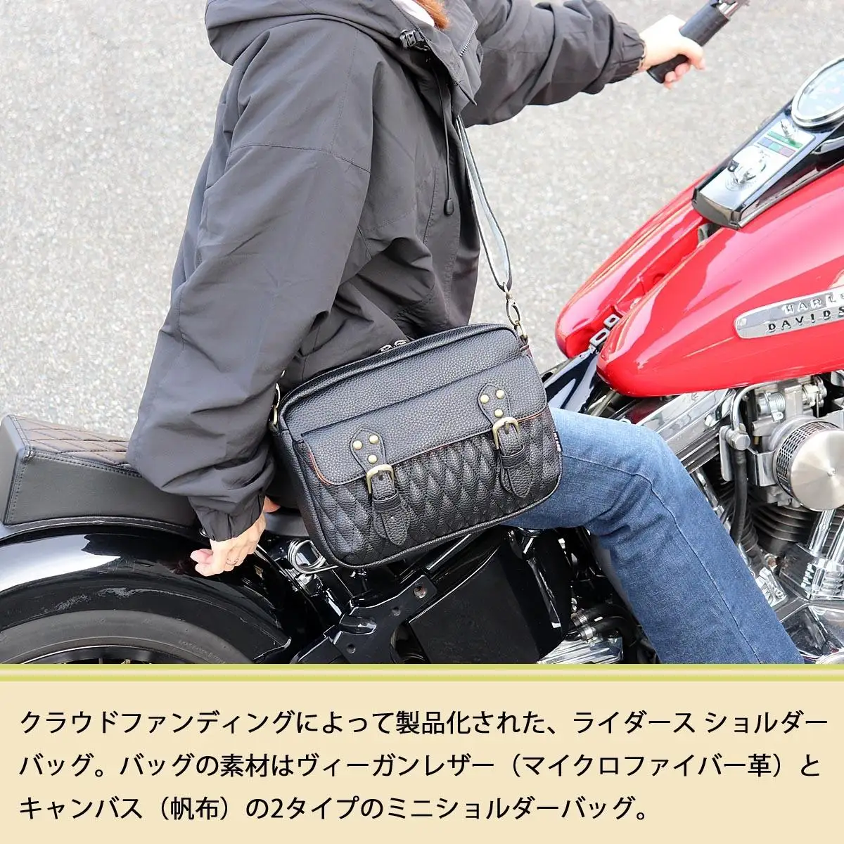DLMS ショルダーバッグ  'Old Symbol’ キャンバス生地 WZ010-2