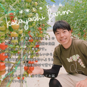 《予約品》令和8年6月～発送★とまとのクラフトビール「 ねばとエール (NEBATO ALE）」3本セット 発泡酒 クラフトビール トマト トマトのお酒 ビール 南信州 長野県 地域限定 完熟トマト 根羽村産 小林農園 天然水