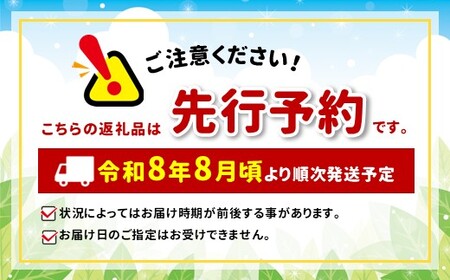 【先行受付】【8月】信州松本産・旬の野菜 おまかせセット（約10～12品）