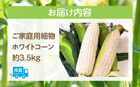 【訳あり】ご家庭用細物ホワイトコーン約3.5kg | とうもろこし 野菜 コーン 旬の野菜 旬 季節の野菜 季節 贈答 贈り物 ギフト プレゼント おすそ分け グルメ お取り寄せ 人気 おすすめ 特産 特産品 生鮮食品 香川県 三木町 |_mk006-058