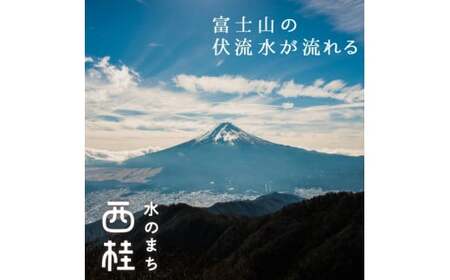 弱アルカリ水 富士山麓の溶岩水500ml 48本入 (24本入2箱)／ミネラルウォーター お水 軟水 飲料 飲料水 ペットボトル 生活必需品 消耗品 備蓄 防災 災害対策 人気 まろやか おいしい 送料無料 山梨県 西桂町【n0548-48_web_A】