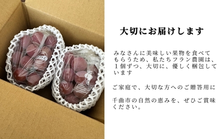 【2026年先行予約】クイーンルージュ® 900g以上（2房）｜ぶどう ぶどう