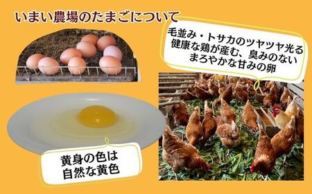 BQ6　いまい農場の 平飼い 有精卵 定期便（3か月） 合計60個（20個×3回）【 定期 3か月 複数回 赤玉 たまご タマゴ 玉子 平飼い 国産 こだわり 受賞 兵庫県 宍粟市 しそうし 】