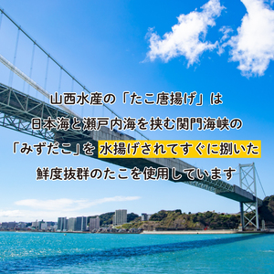 たこ 唐揚げ 1.6kg から揚げ AU