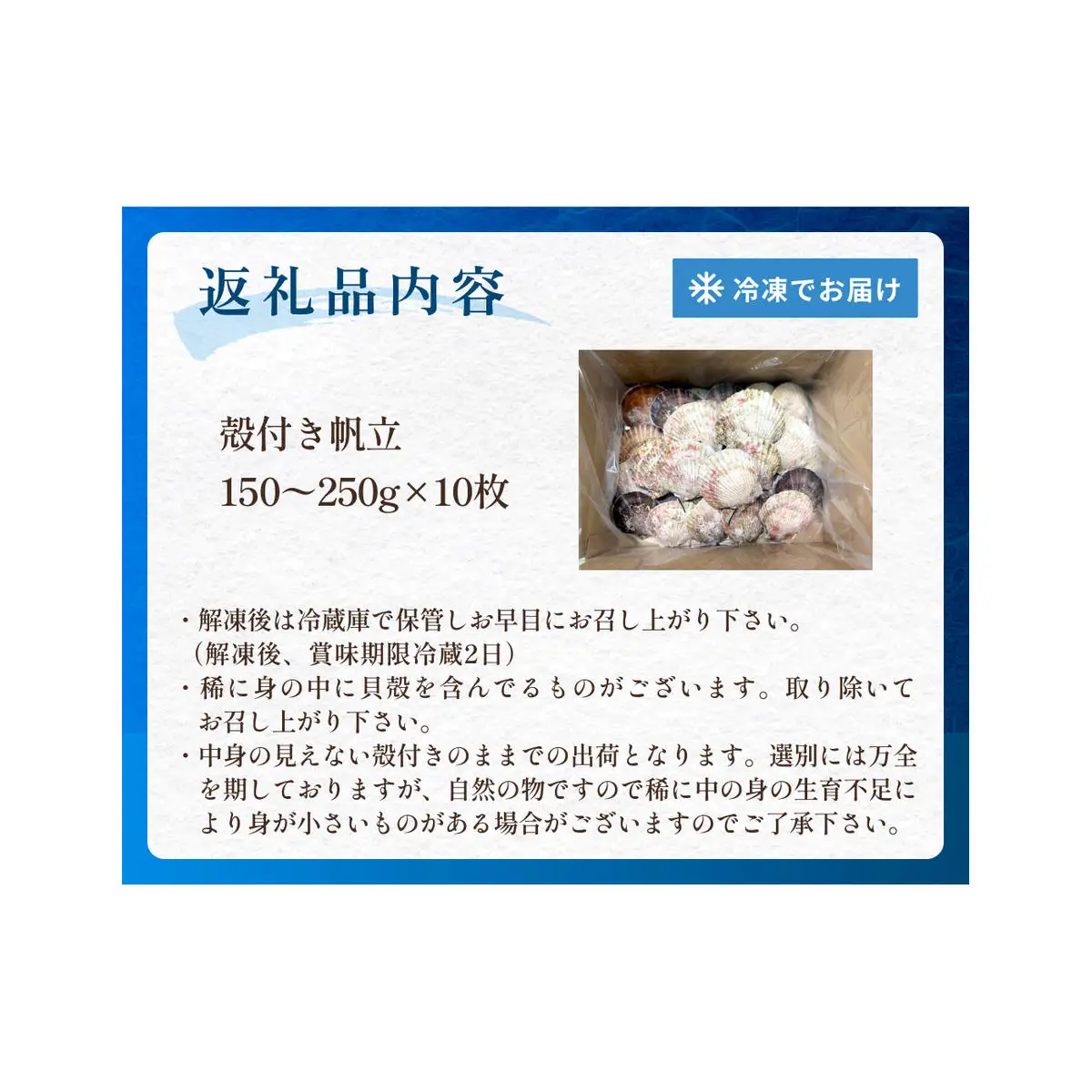 【冷凍・生食用】 殻付き帆立 10枚 帆立 ホタテ ほたて 殻付き 生食 生食用 肉厚