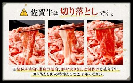 博多和牛 焼肉用 500g ＋ 佐賀牛 切り落とし 400g 計900g（計2パック） 牛 和牛 牛肉 お肉 肉 にく 切落し 赤身 肩肉 バラ肉 冷凍