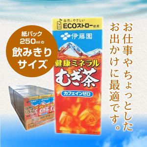【3ヶ月定期便】健康ミネラルむぎ茶 250ml 24本 伊藤園 紙パック　麦茶 カフェインゼロ 1ケース24本 ドリンク 配達 仕送りギフト 防災 [h132]