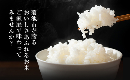 【12ヶ月定期便】熊本県産 菊池米 白米 無洗米 20kg 1袋5kg 米 お米 令和7年産 九州産 熊本県産 送料無料《お申込み翌月に出荷予定》 白米 米