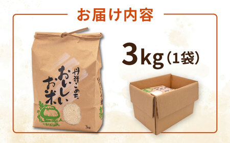 糸島産 ヒノヒカリ 3kg 糸島市 / 平山農園 米 白米 ご飯 お米 3kg[AXN005]