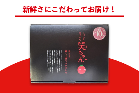 ☆ 糖度 １0度以上 ☆ 厳選 スパルタ生まれの笑ちゃん フルーツトマト 約1kg 【GC-35】 お届け：4月中旬～6月中旬ごろ順次発送