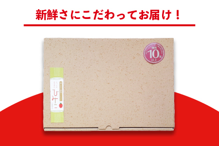 ☆ 糖度 10度以上 ☆ 厳選 スパルタ生まれのひみこ ミニトマト 約1kg 【GC-36】 お届け：4月中旬～6月中旬ごろ順次発送