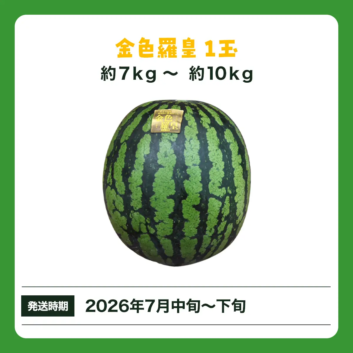 【先行予約】金色羅皇　SMAF004