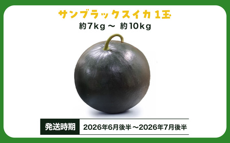【先行予約】サンブラックスイカ　SMAF005