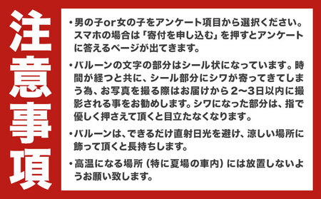 ジェンダーリビールバルーン バルーン 風船 ぐんじバルーンワークス