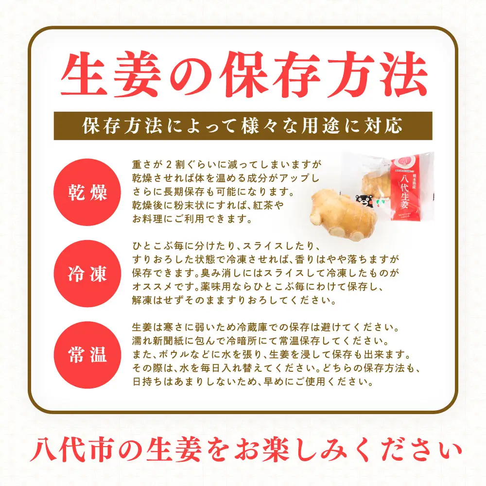 八代生姜80g×5パック 合計400g しょうが ショウガ ガリ ジンジャー 野菜 食品 薬味 生姜焼き しょうが焼き 温活 冷え性 対策 熊本県 八代市 東陽町 産地直送 国産