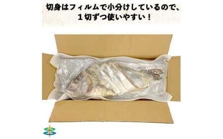 【京粕漬 魚久が漬け込み】串本真鯛の姿漬け約1.6kg [小分け約12切]　カマから尾身、中骨まで丸々粕漬け / 京粕漬 鯛 真鯛 魚久 おかず【uoq001】